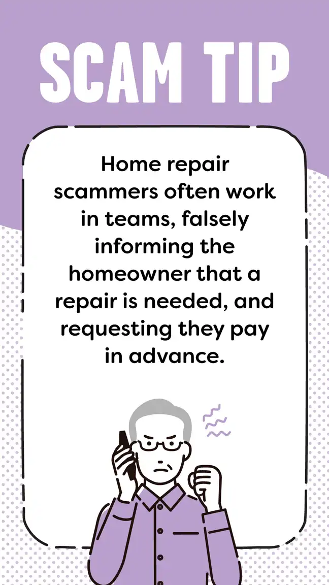 Elder Fraud  Scamp Tip