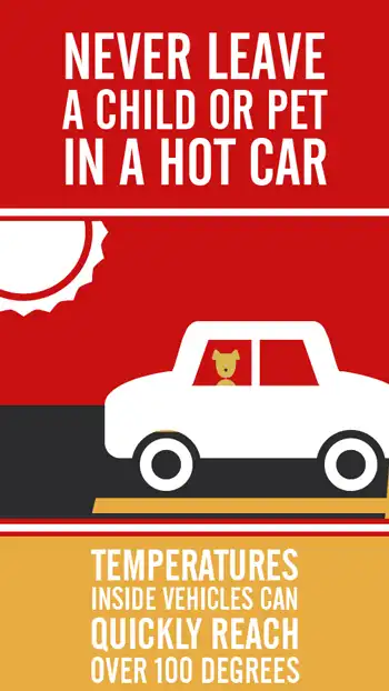 Ill  Summer Safety 01