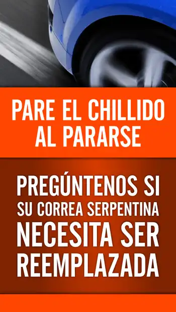 SVC  Serpentine Belt 01