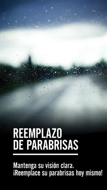 SVC  Wiper Blade Replacement 01