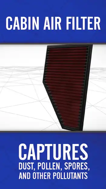 3 D BLUE  Cabin Air Filter 01
