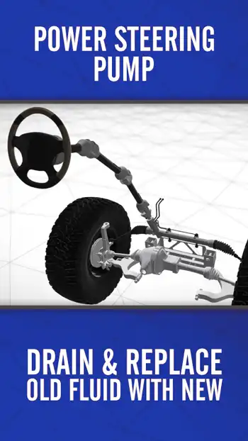 3 D BLUE  Power Steering Pump