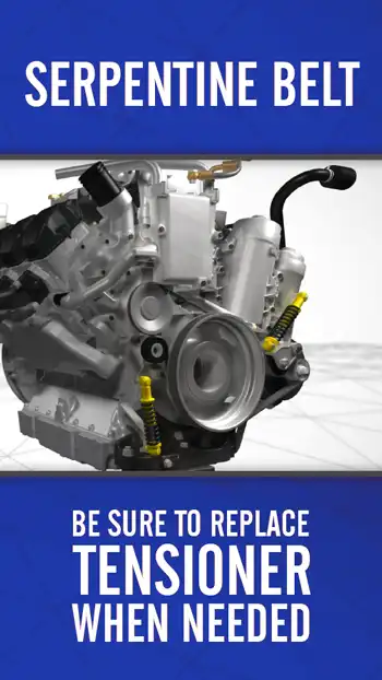 3 D BLUE  Serpentine Belt 01