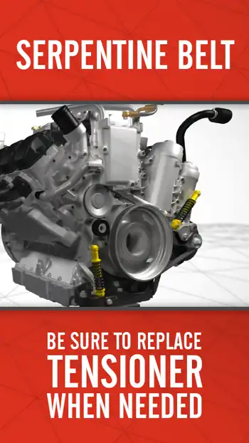 3 D  Serpentine Belt 01