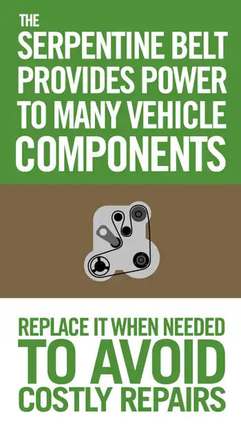 Ill  Serpentine Belt