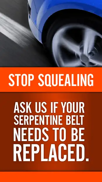 SVC  Serpentine Belt 01
