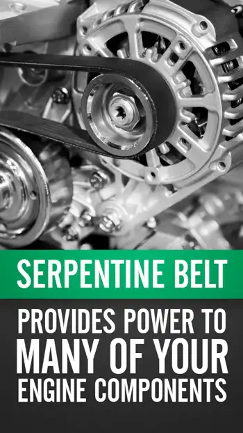 Serpentine Belt 01