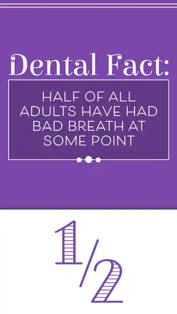 Fact  Half Of Adults