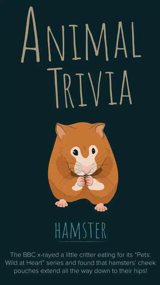Animal Trivia  Hamster