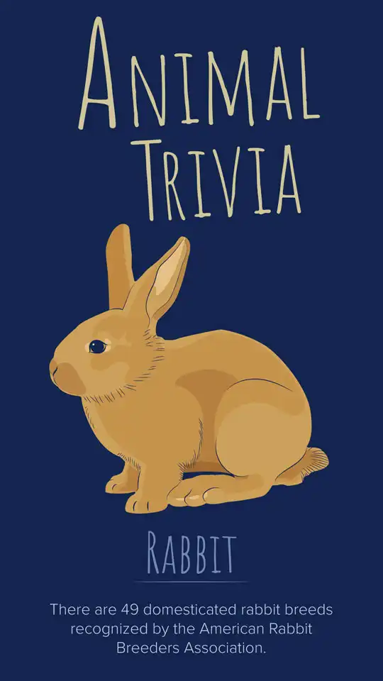 Animal Trivia  Rabbit