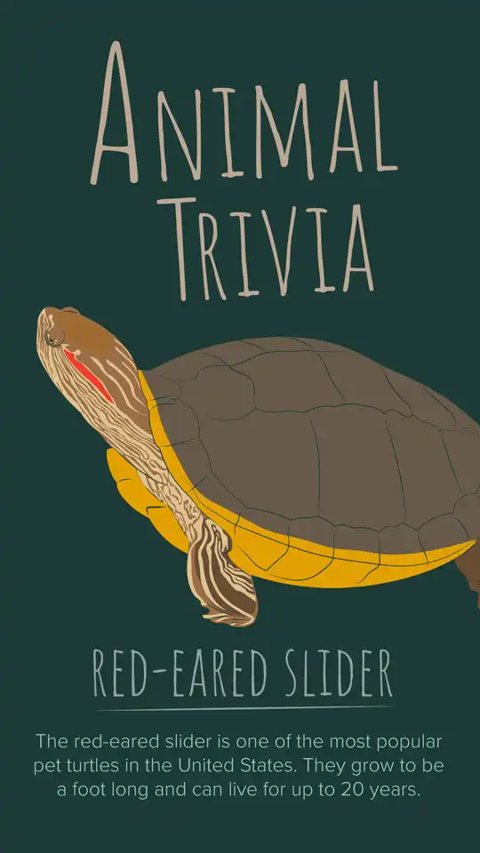 Animal Trivia  Red Eared Slider