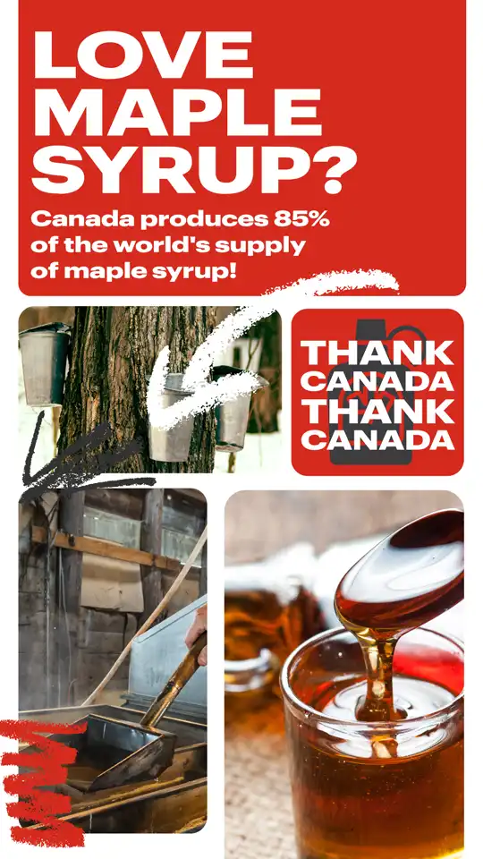 Canadian Trivia  Maple Syrup