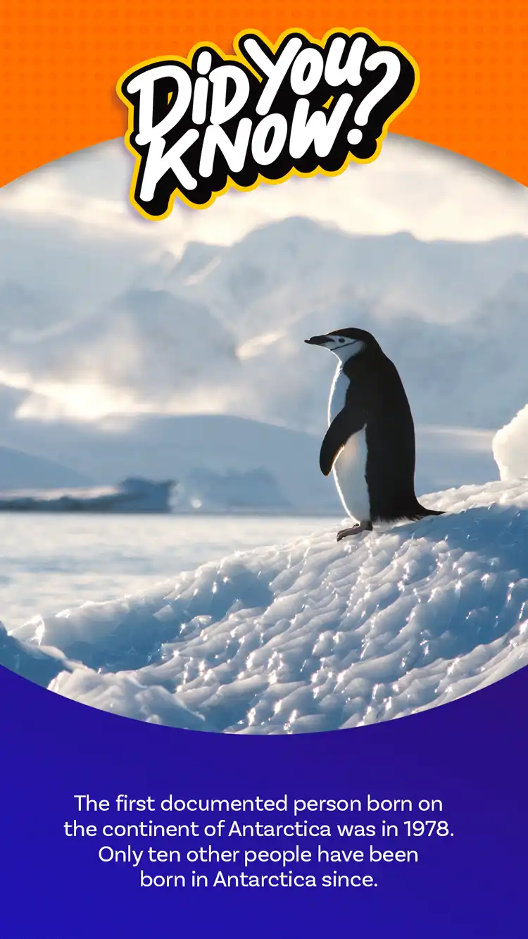 DYK  Antarctica Birth