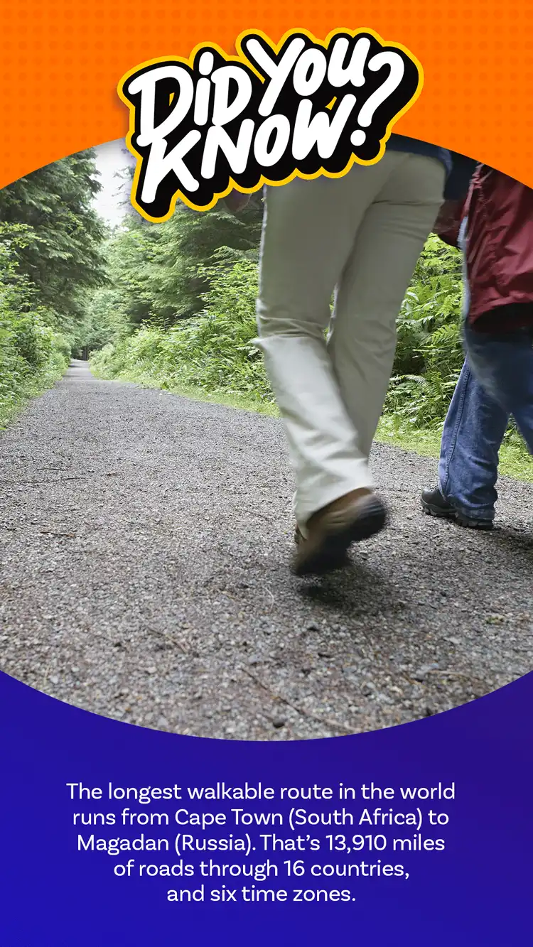 DYK  Cape Town Trail