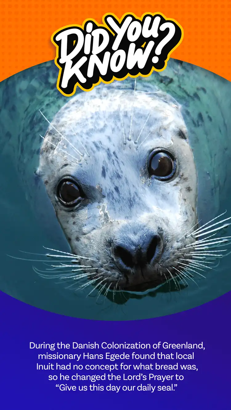 DYK  Daily Seal