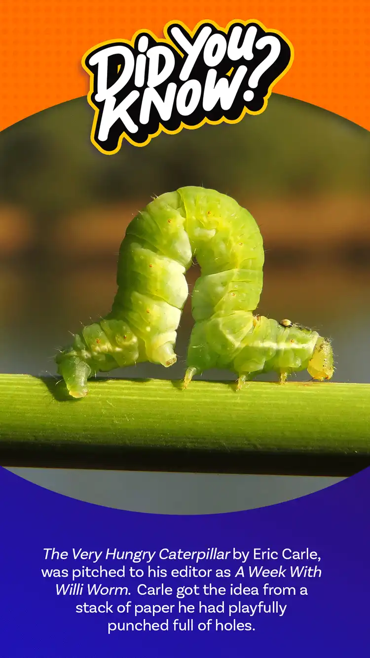 DYK  Hungry Caterpillar
