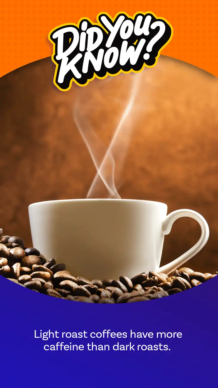 DYK  Light Roast Coffee