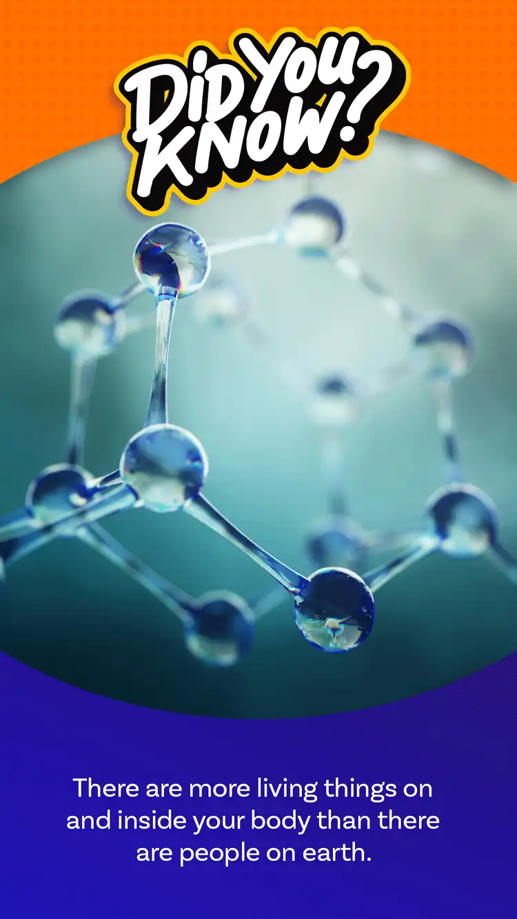 DYK  Micro Organisms