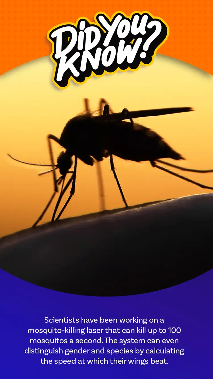 DYK  Mosquito Laser
