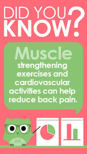 DYK  Muscle