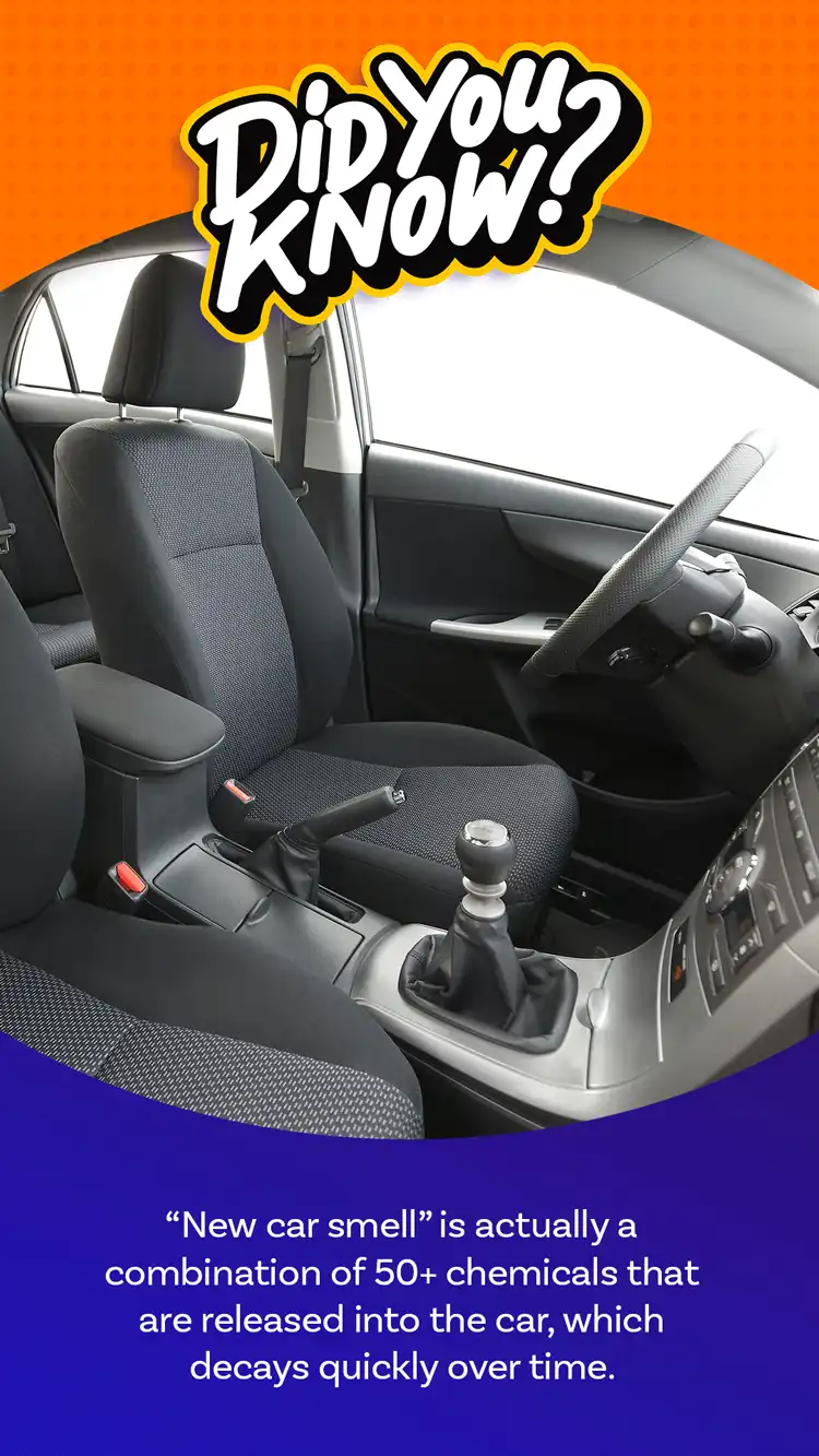 DYK  New Car Smell