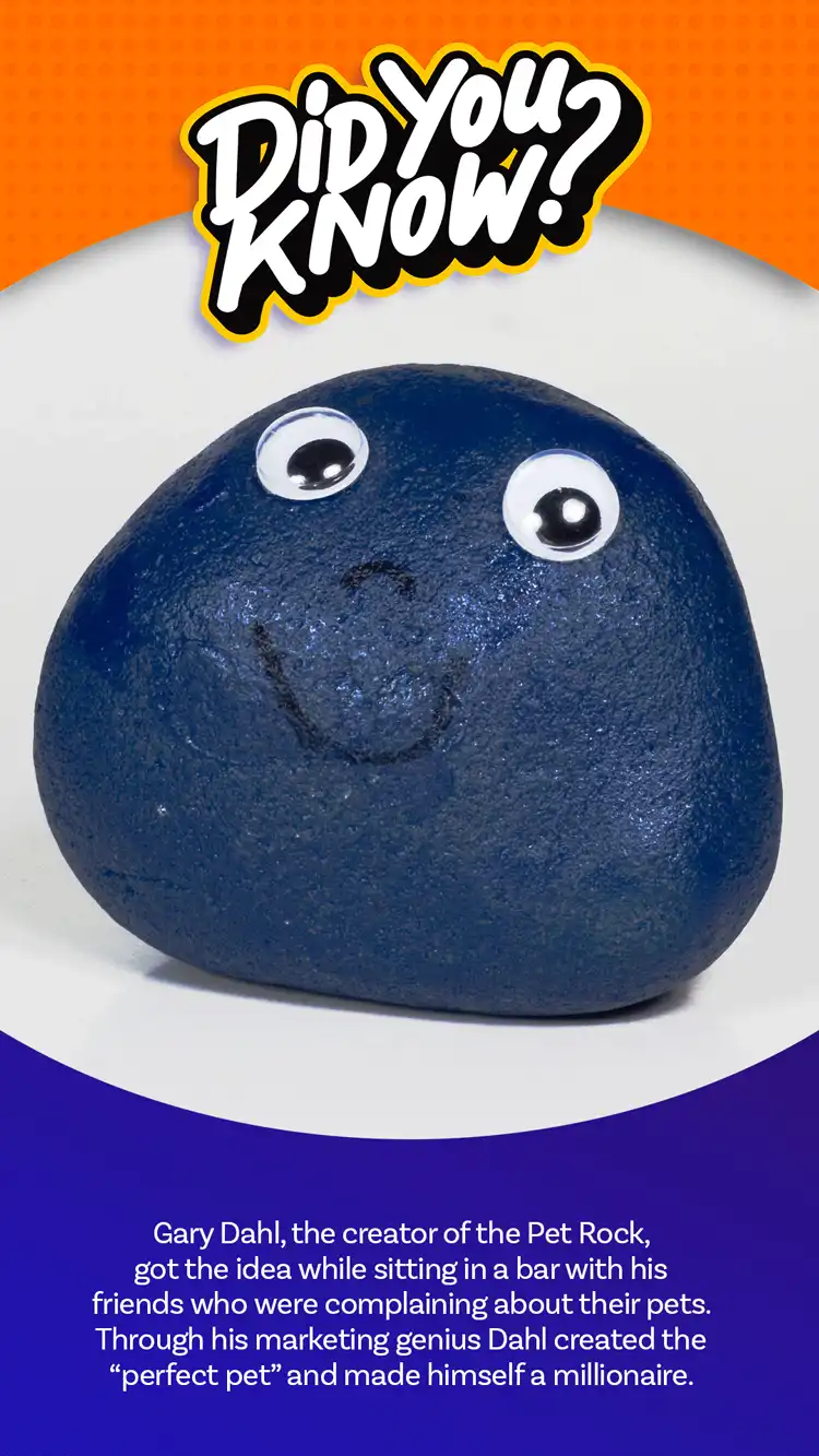 DYK  Pet Rock