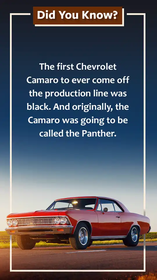 Did You Know  Cars