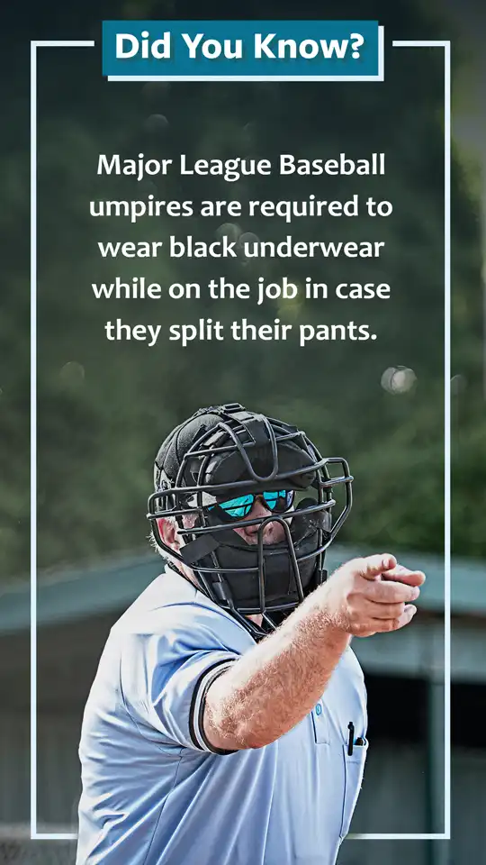 Did You Know  Sports