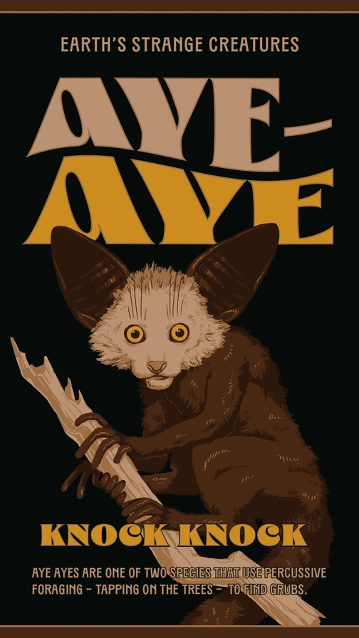 Earths Strange Creatures  Aye Aye