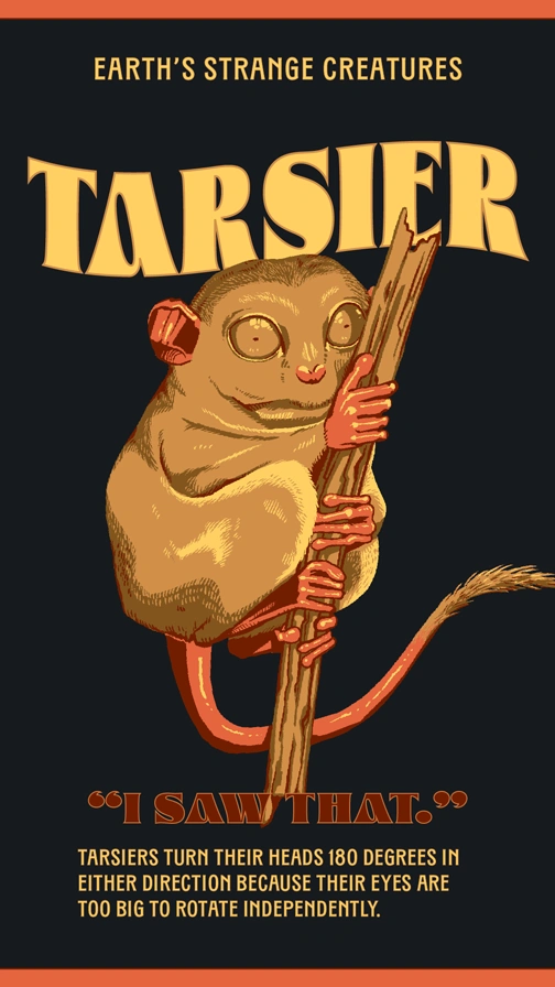 Earths Strange Creatures  Tarsier