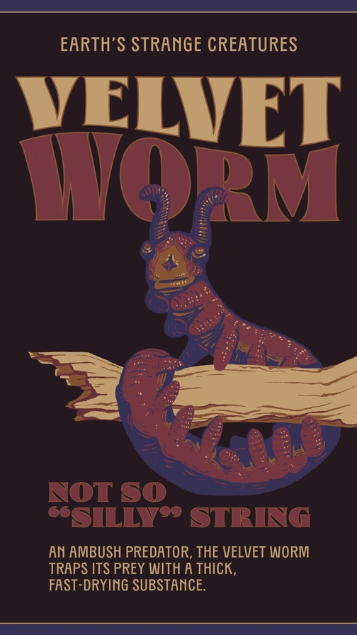 Earths Strange Creatures  Velvet Worm