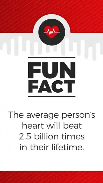 Fun Facts  Heart Beat