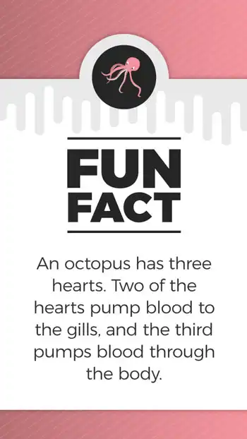 Fun Facts  Octopus