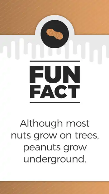 Fun Facts  Peanuts