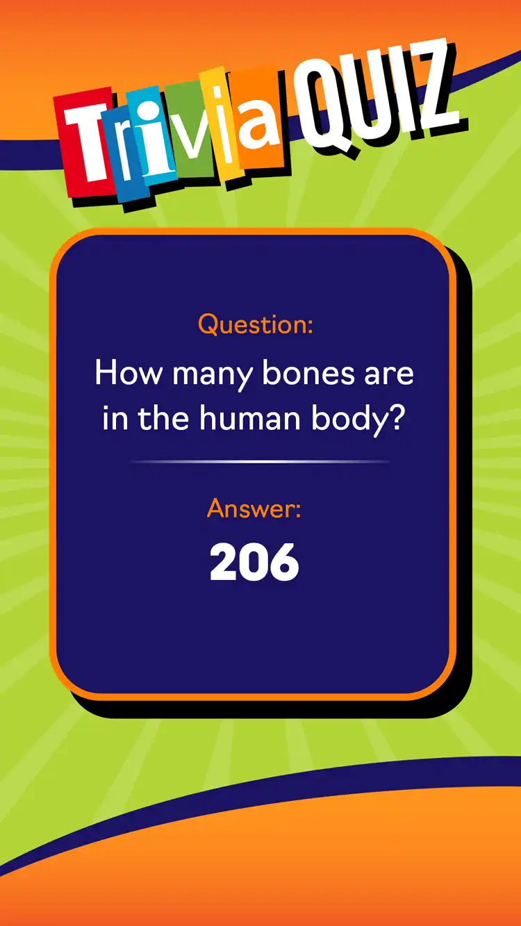 Trivia Quiz 206 Bones