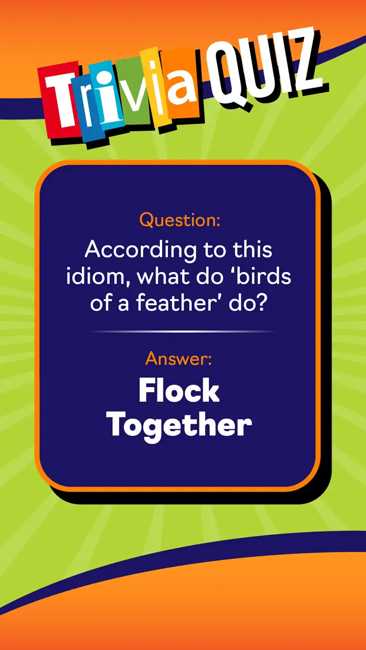 Trivia Quiz  Bird Flock