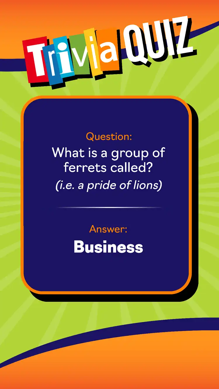 Trivia Quiz  Business