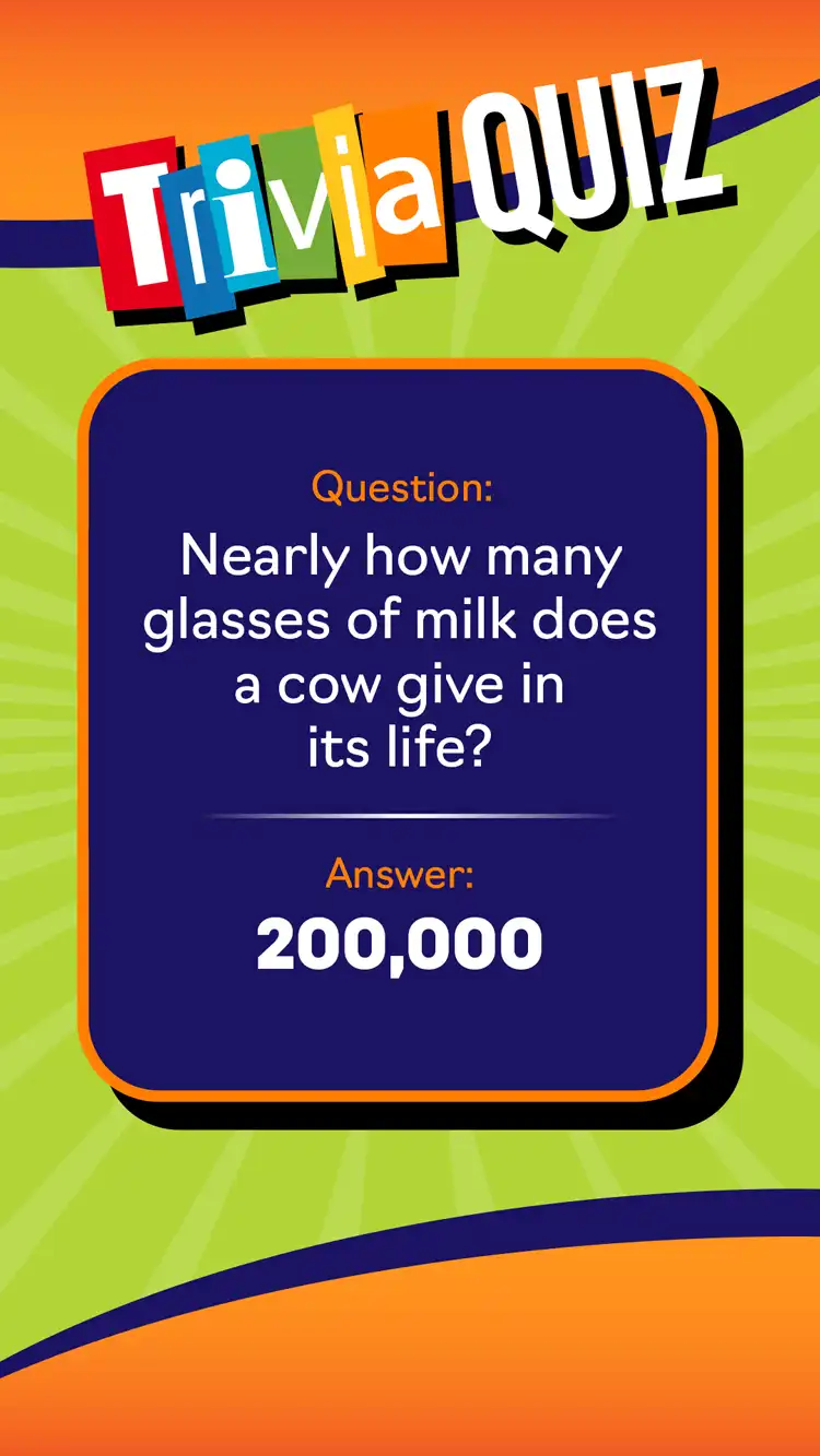 Trivia Quiz  Cow Milk