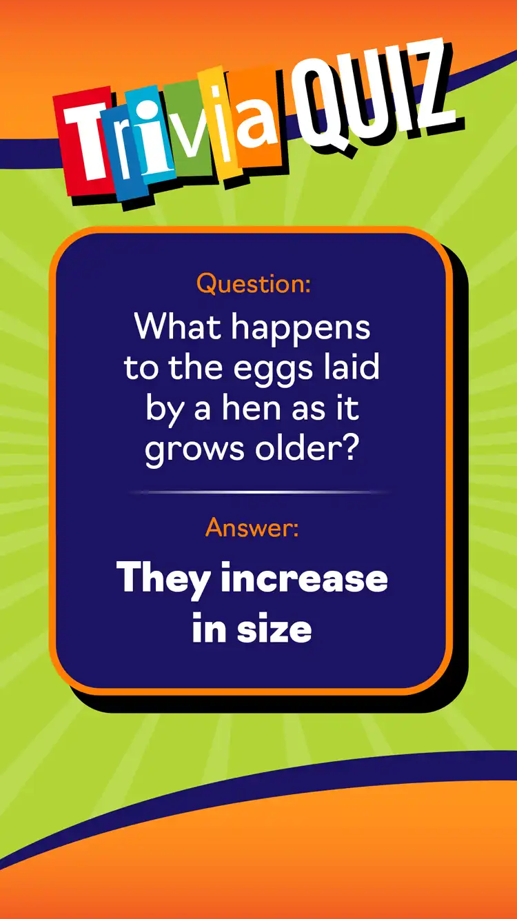 Trivia Quiz  Eggs