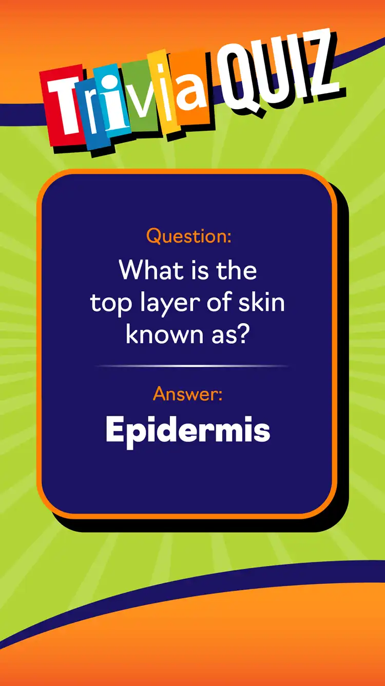 Trivia Quiz  Epidermis