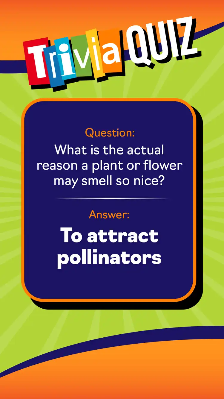 Trivia Quiz  Flowers