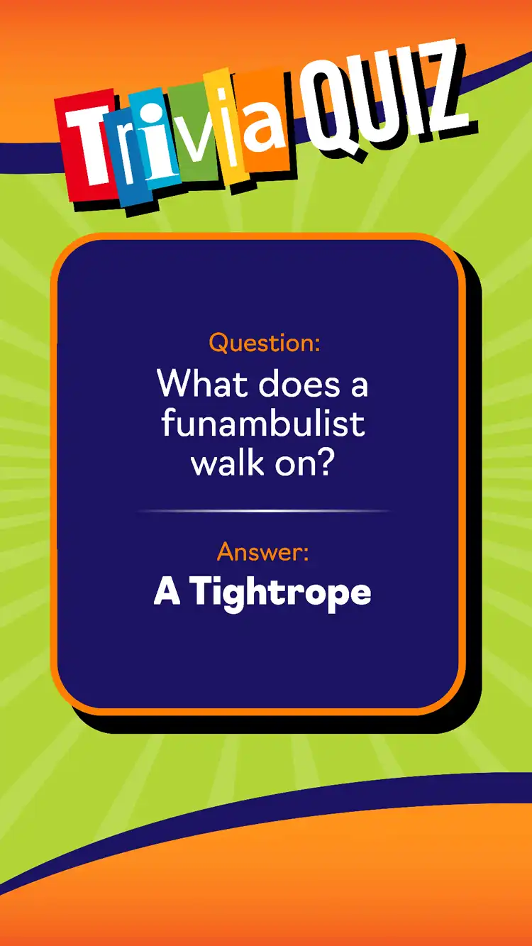 Trivia Quiz  Funambulist