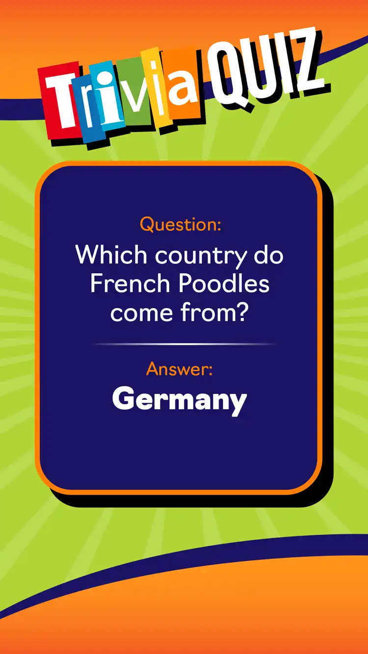 Trivia Quiz  Germany