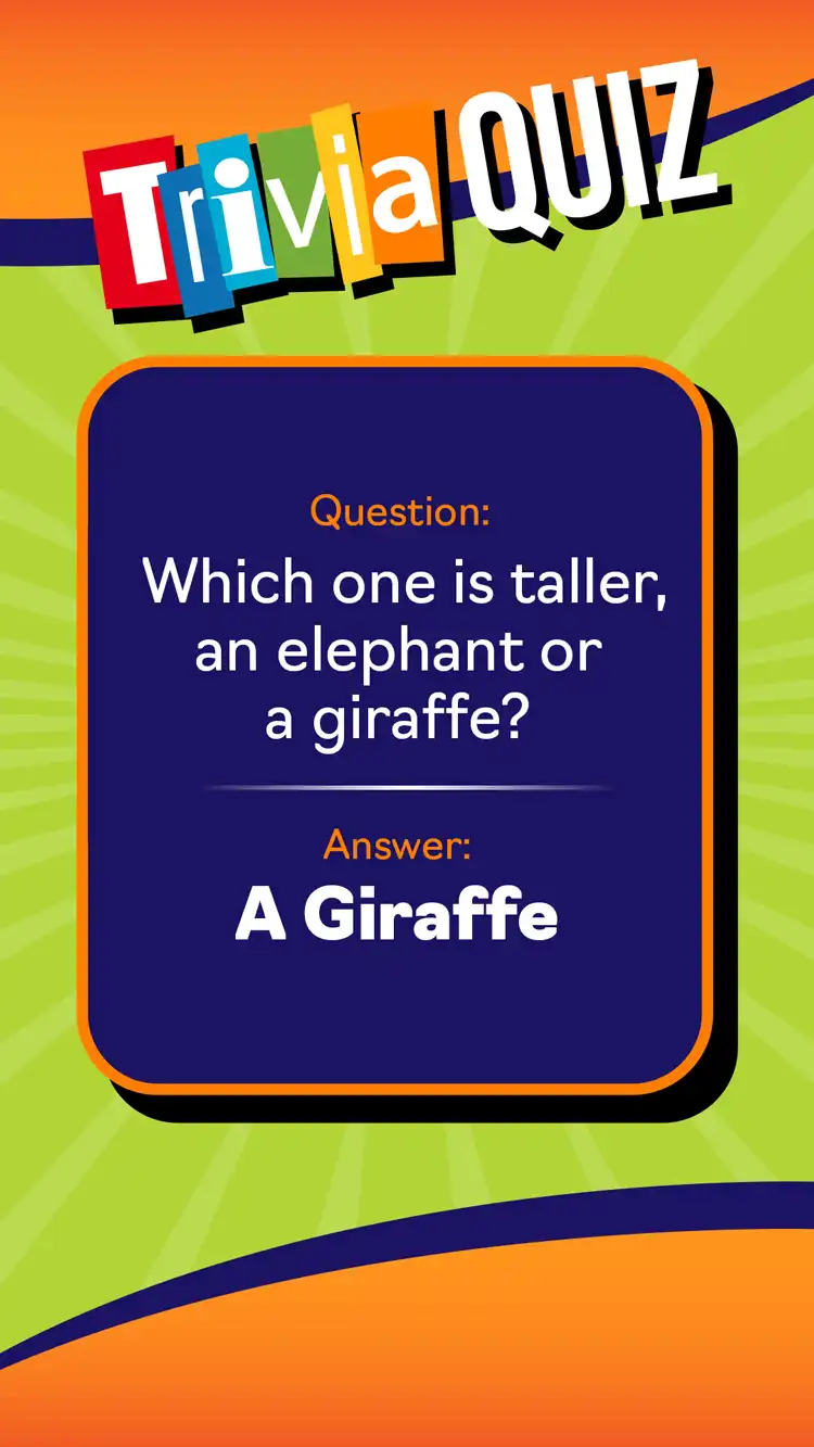 Trivia Quiz  Giraffe