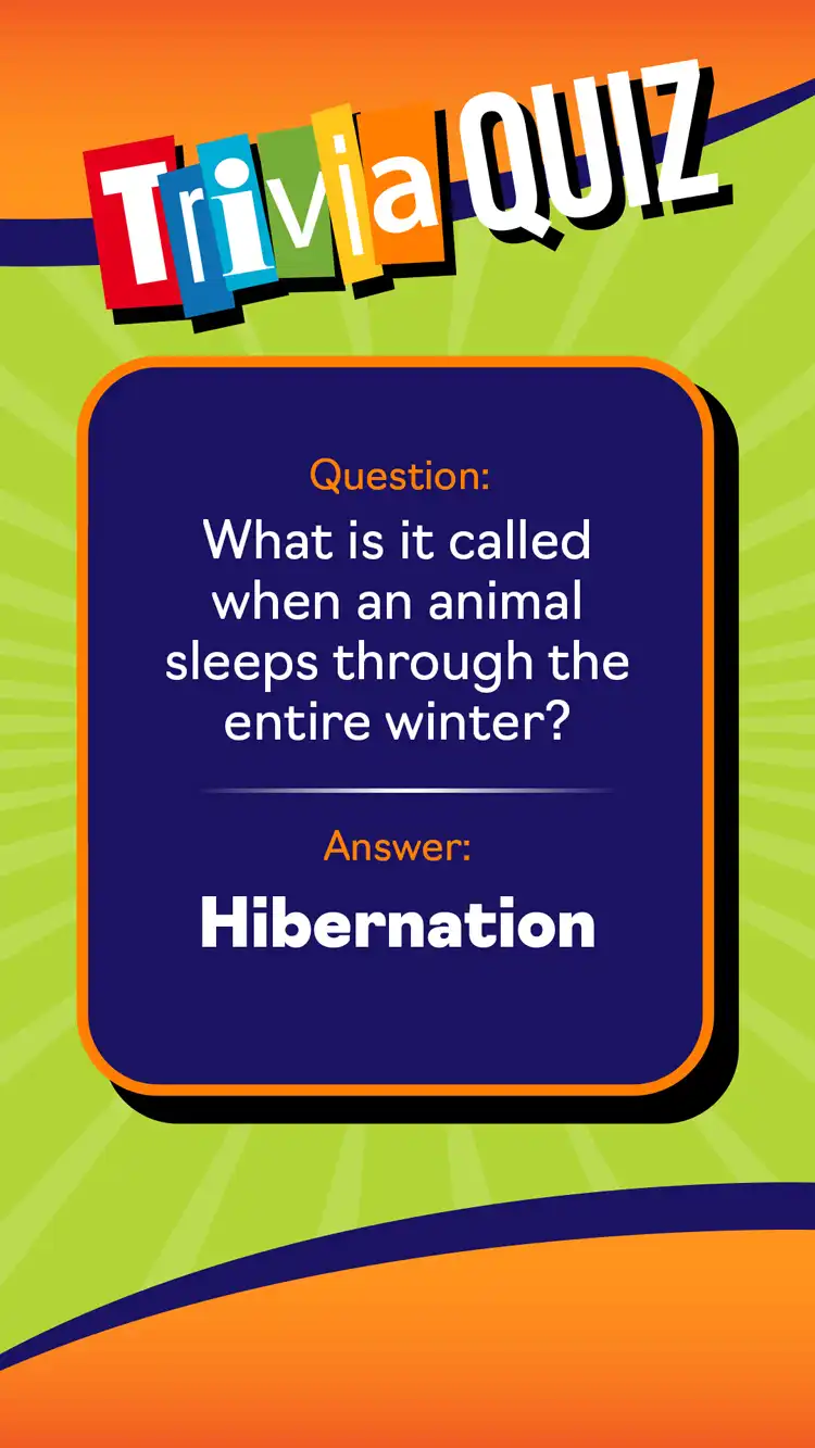 Trivia Quiz  Hibernation