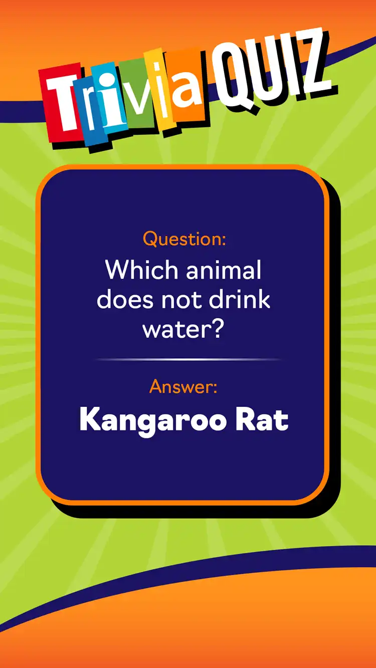 Trivia Quiz  Kangaroo Rat