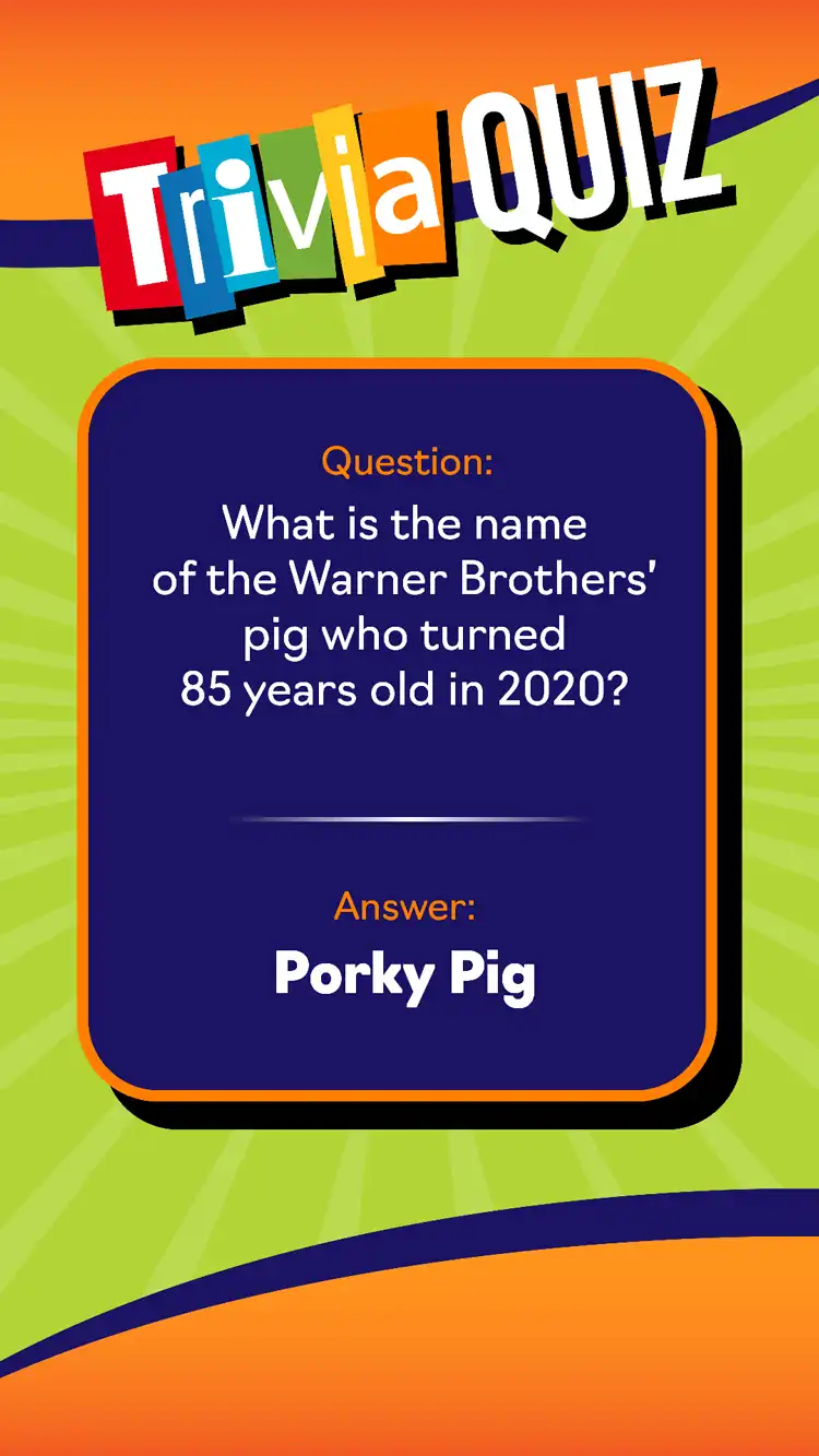 Trivia Quiz  Porky Pig