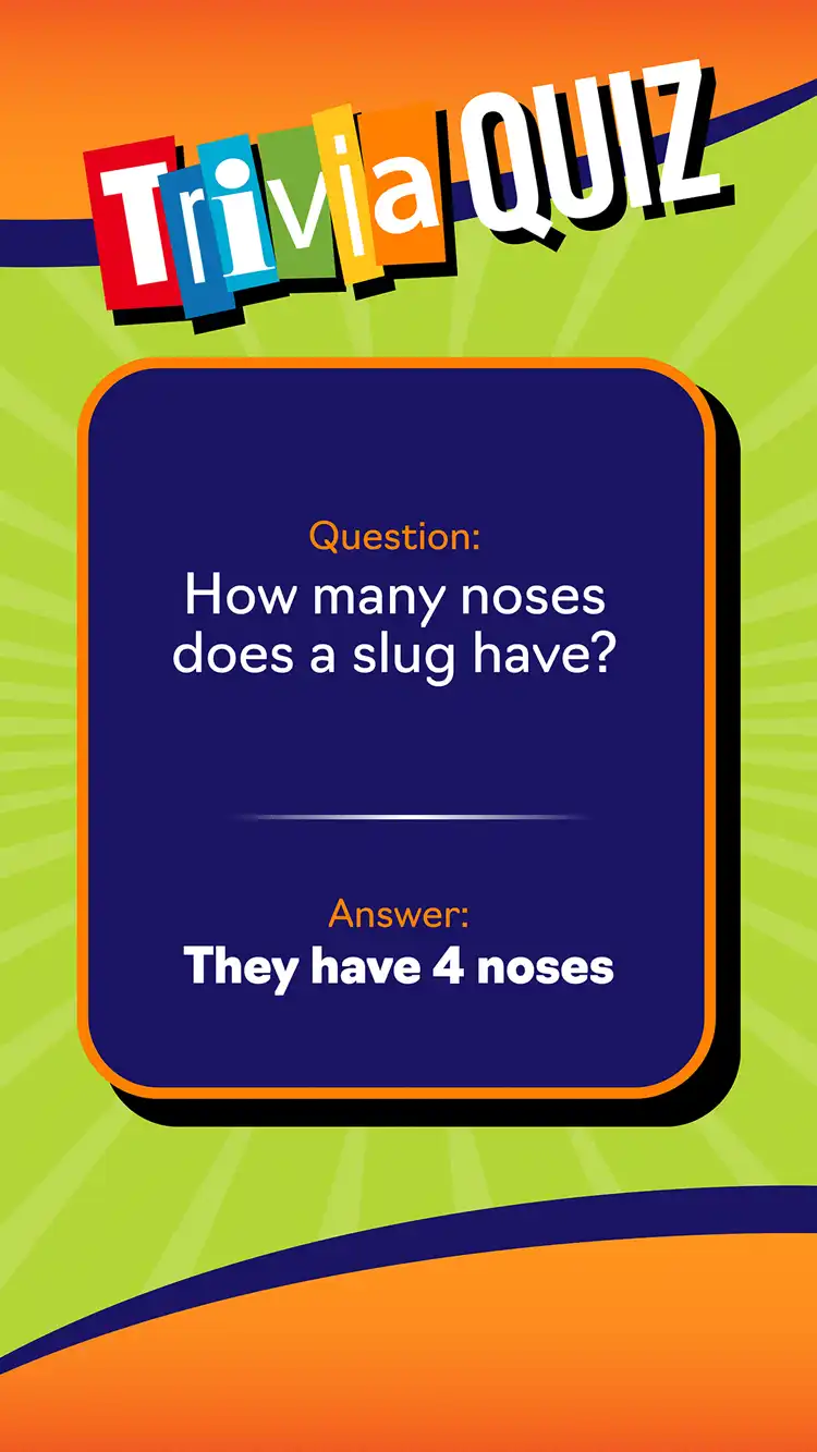 Trivia Quiz  Slug Noses
