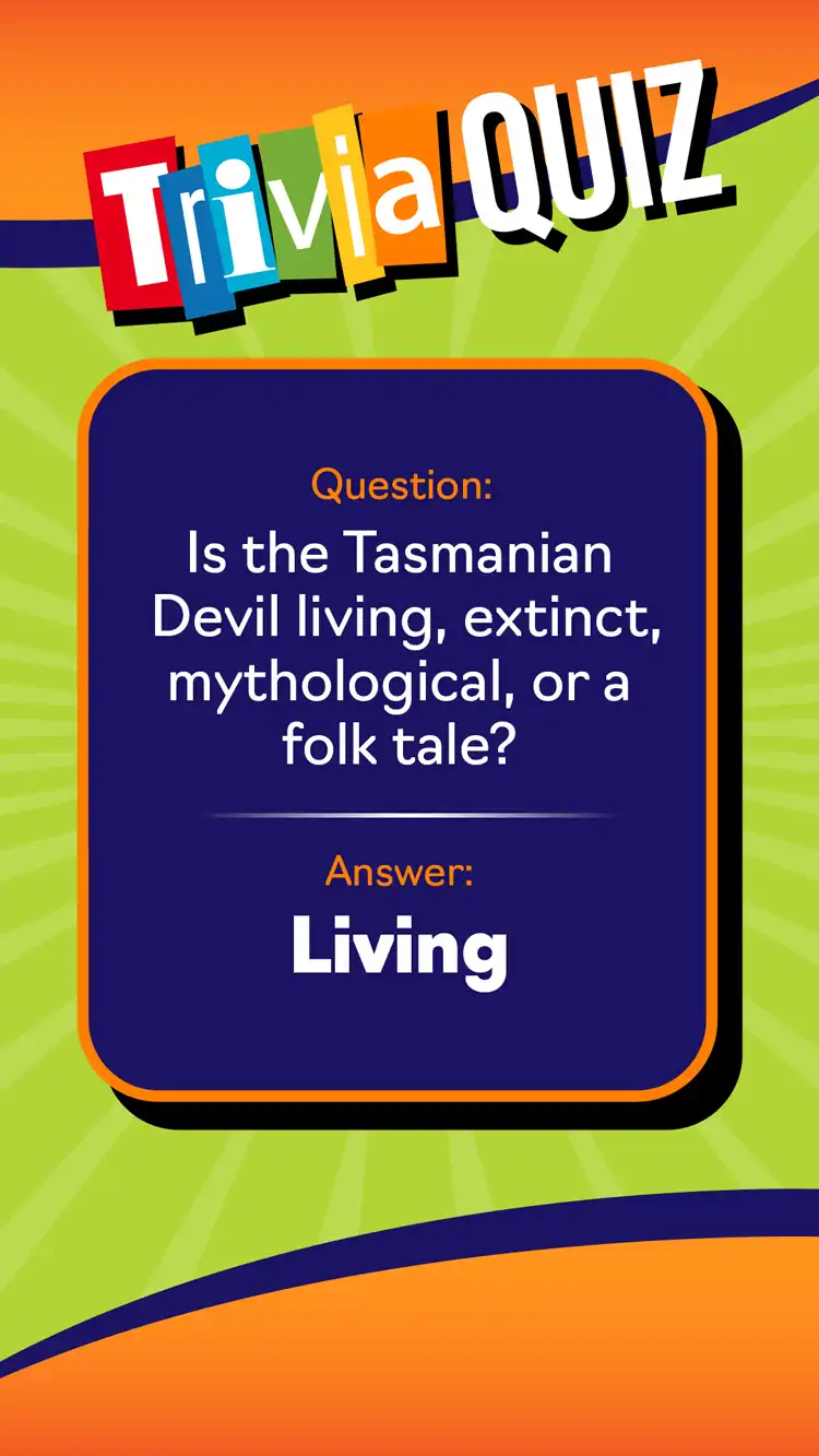 Trivia Quiz  Tasmanian Devil