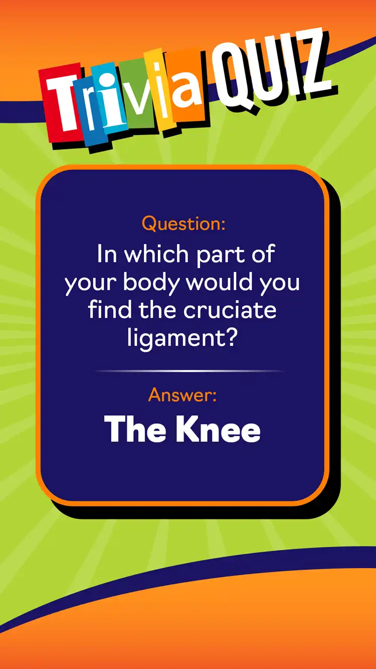 Trivia Quiz  The Knee